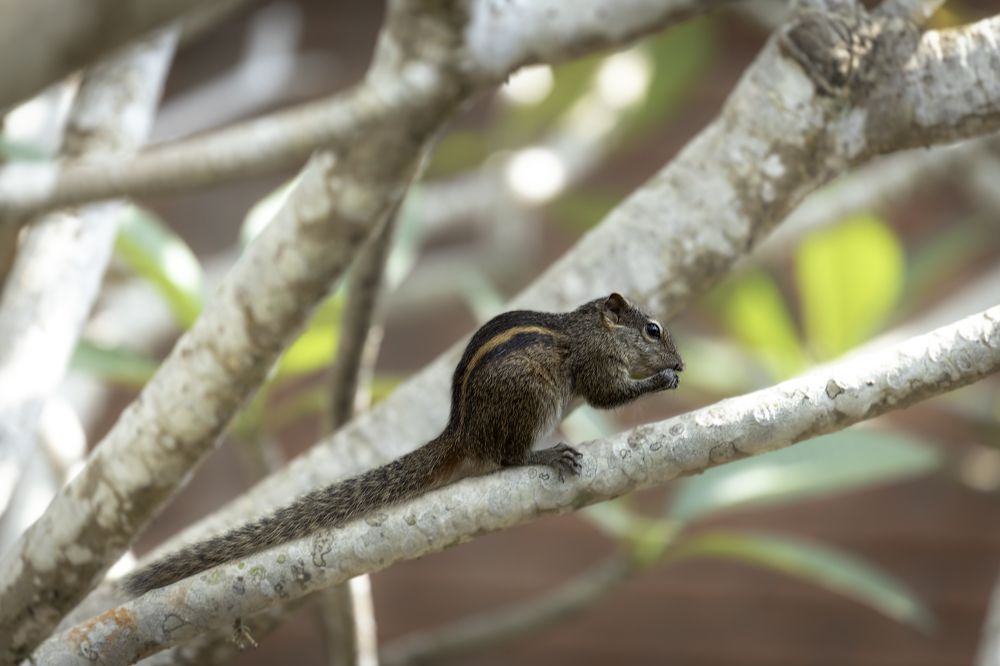 Photograph by Вячеслав Ват