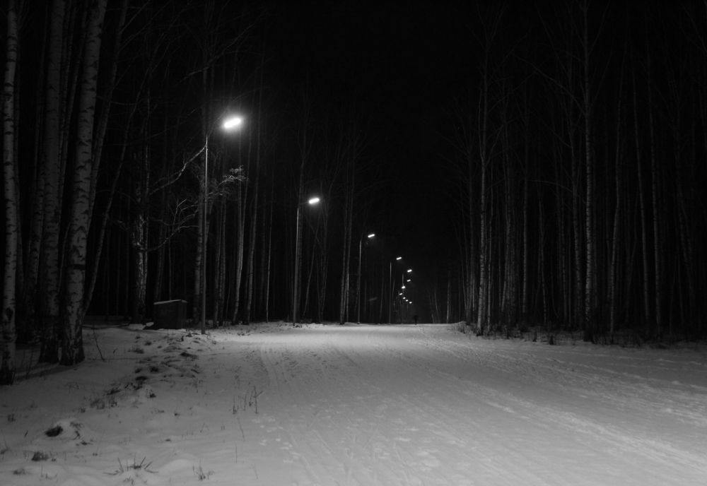 Photograph by Баженова Наталья