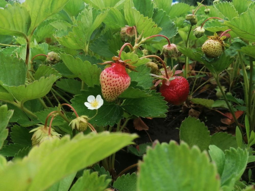 Photograph by Павел Дегтярев