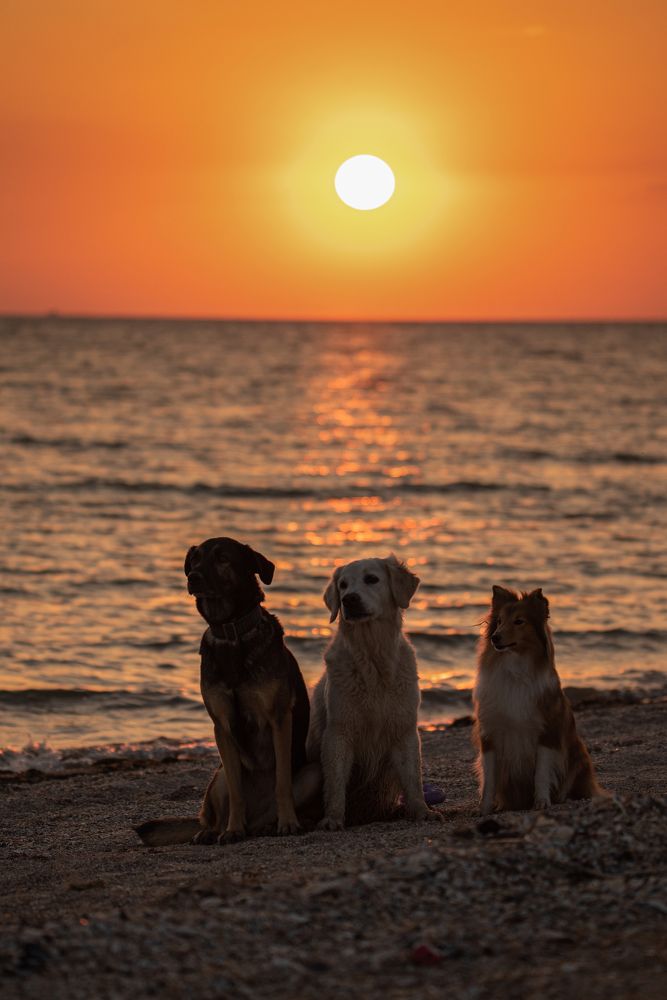 Photograph by наталья залогина