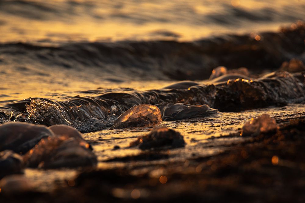 Photograph by наталья залогина