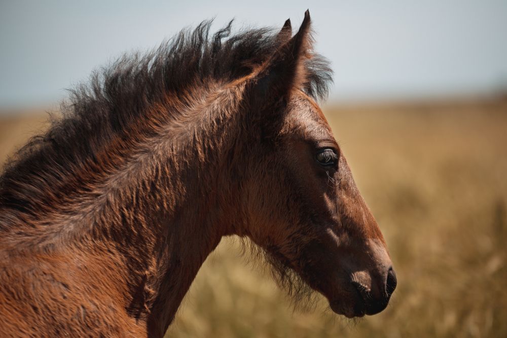 Photograph by Ирина Голомако