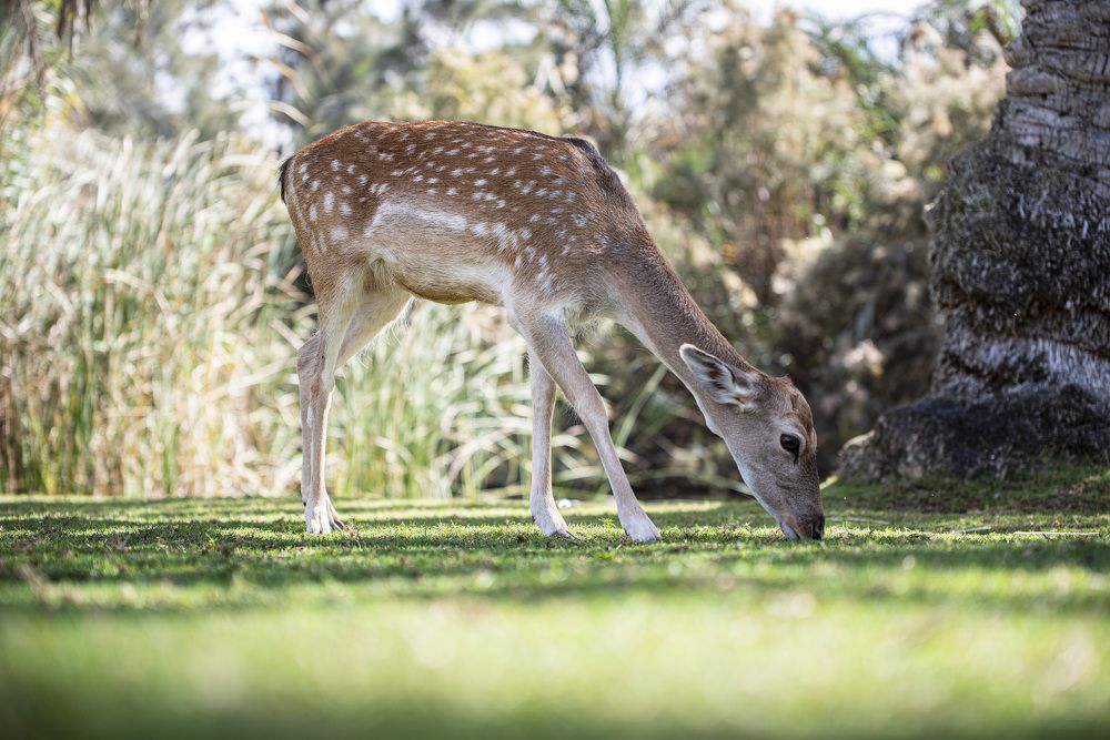 Фотография автора ZILL NIAZI