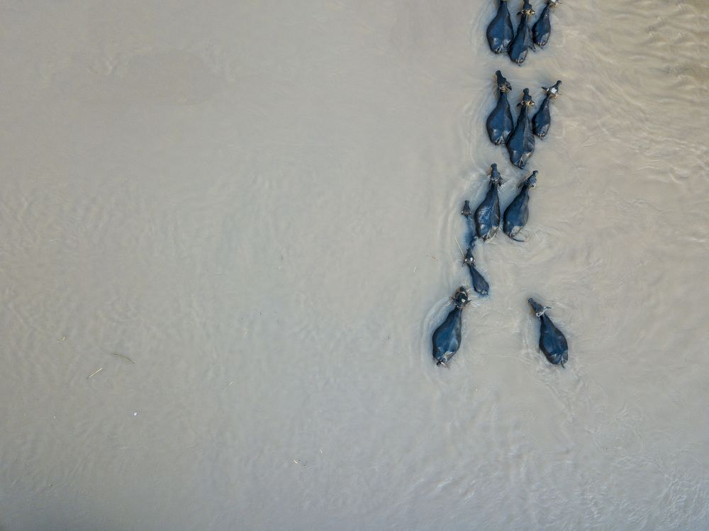 Фотография автора ZILL NIAZI