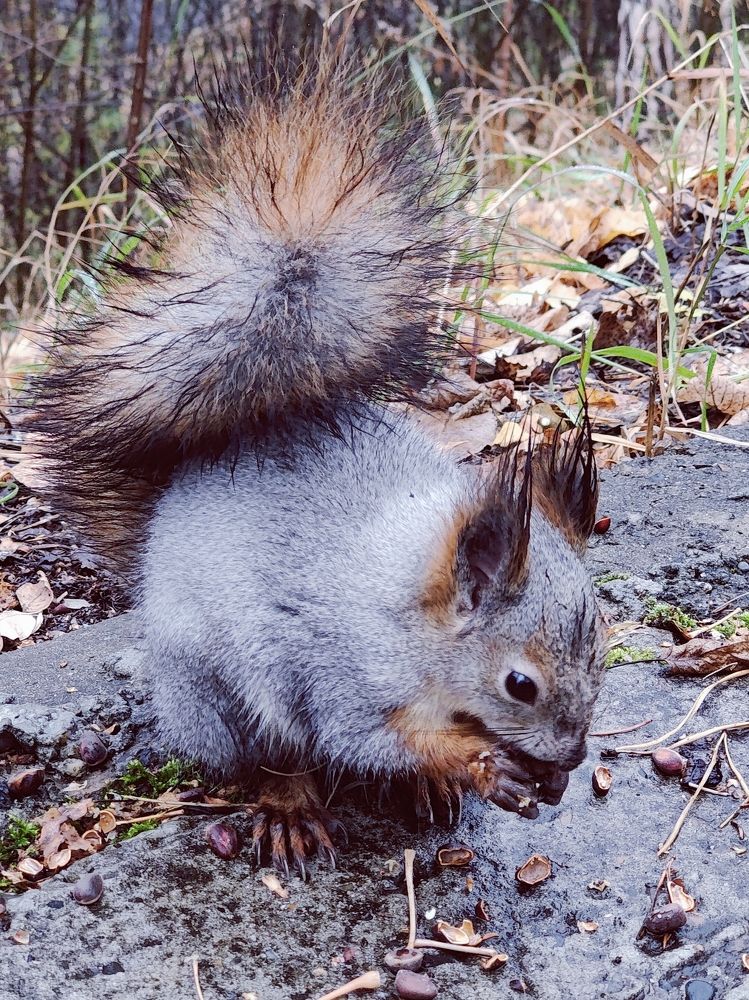 Photograph by Татьяна Гулакова