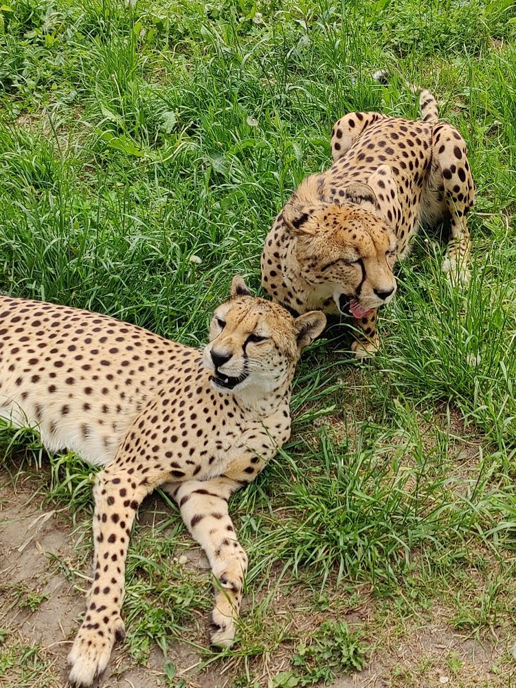 Photograph by Татьяна Гулакова