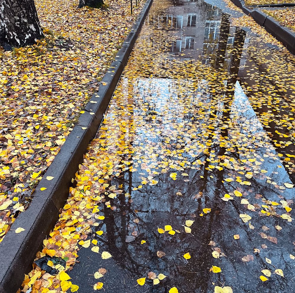 Photograph by Елена Павлова