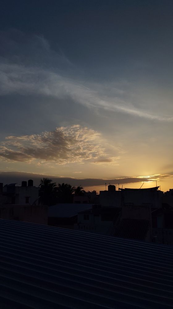 Photo #9889874