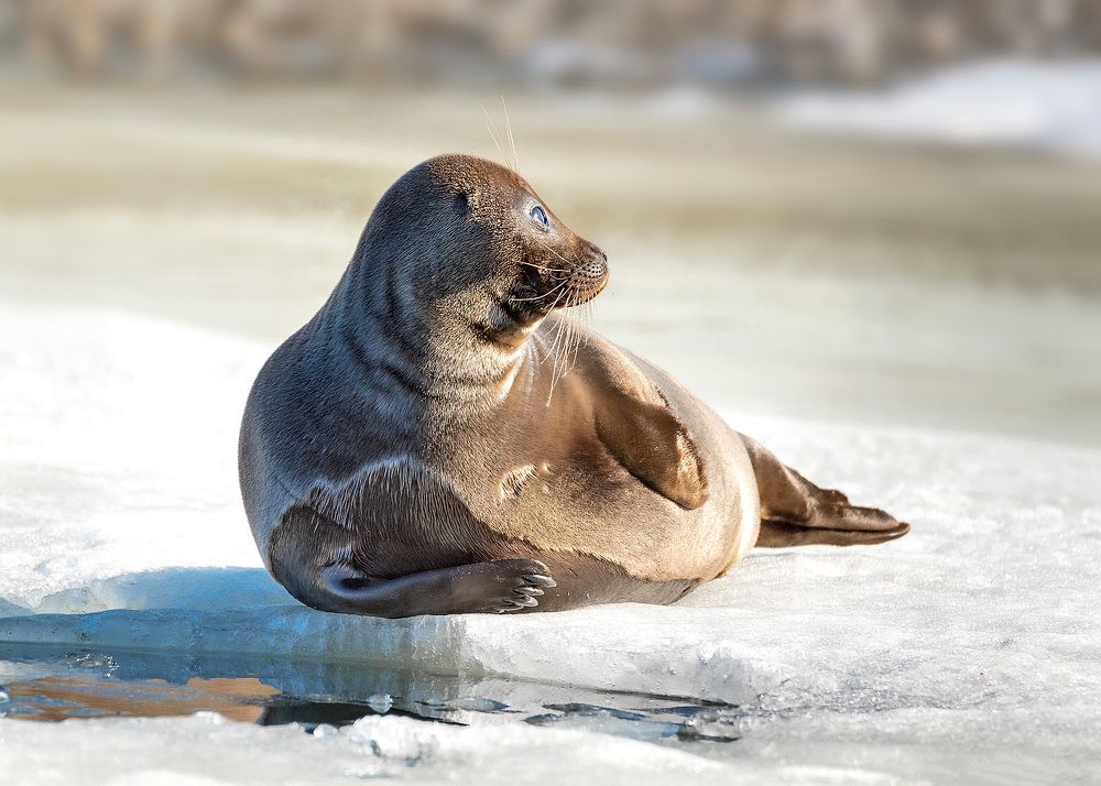 Photograph by Белевитин Михаил