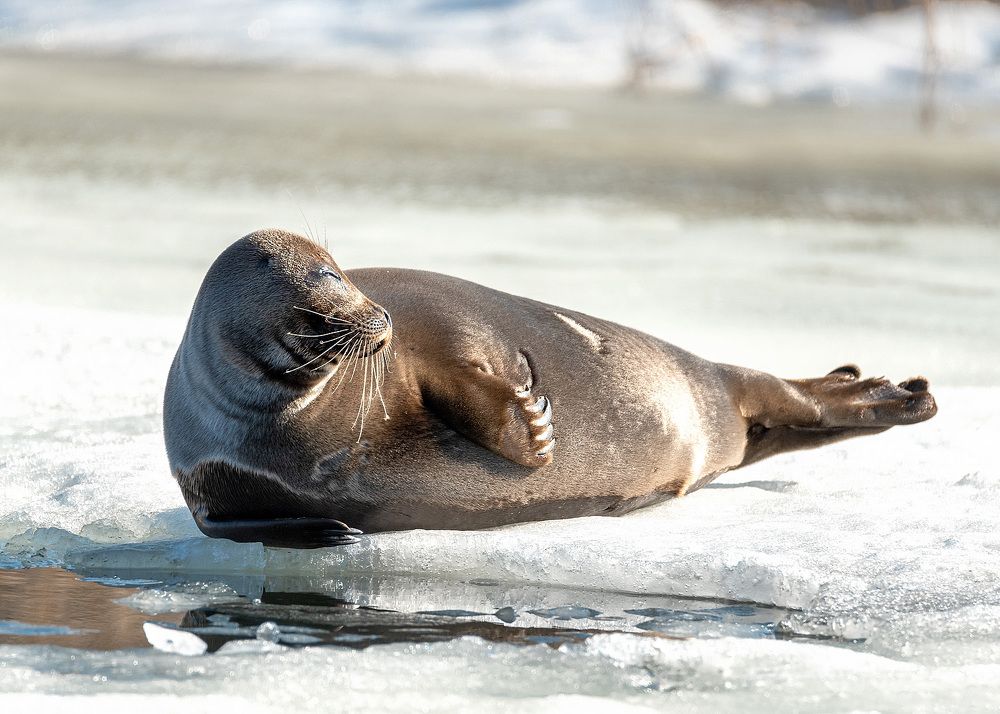 Photograph by Белевитин Михаил