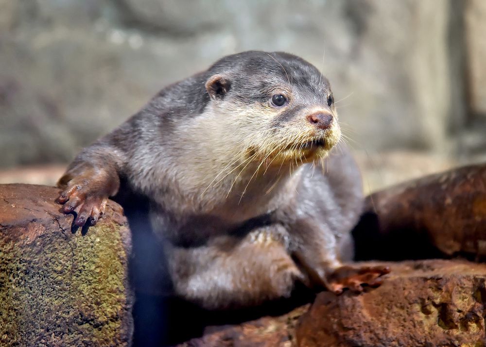 Photograph by Белевитин Михаил