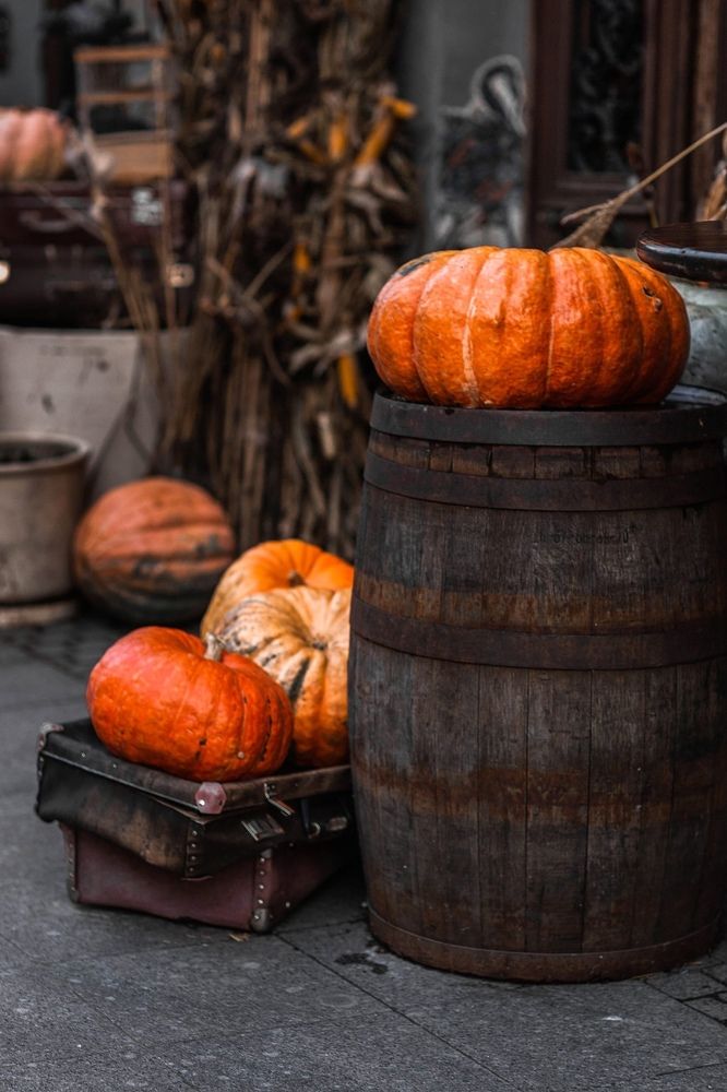 Photograph by Серова Мария