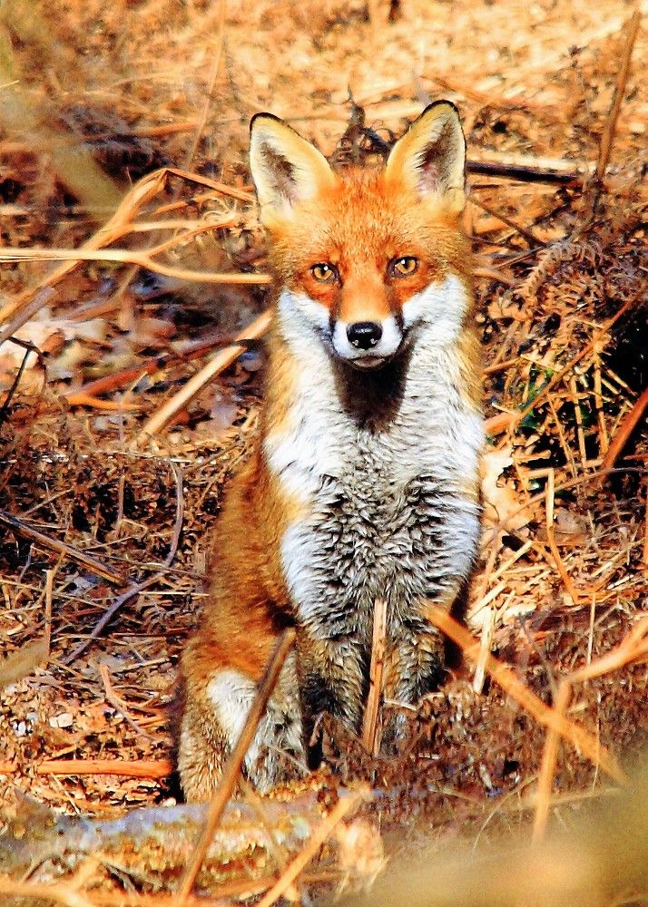 Photograph by David Rose-Massom