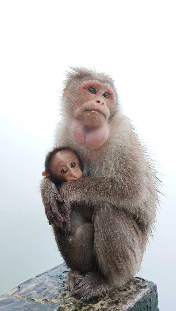 Photograph by Shyam. K