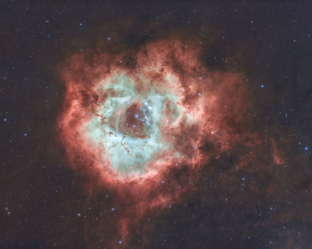Rosette Nebula