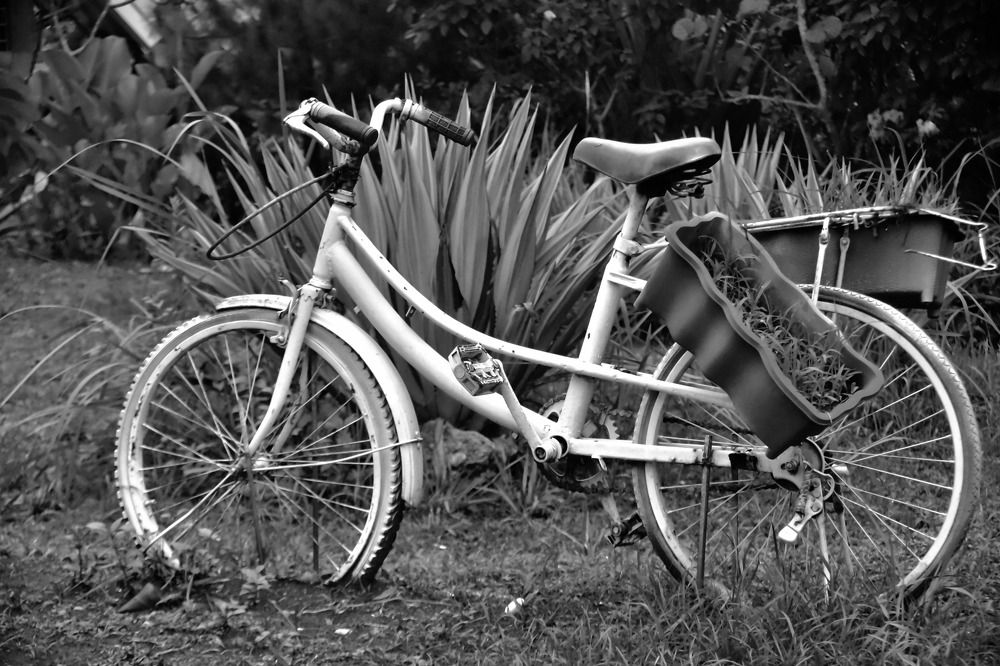 Photograph by Pujo Cahyono