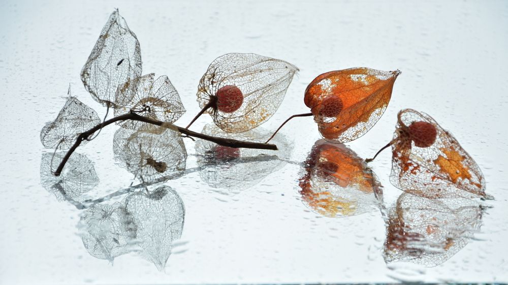 Photograph by Ирина Алексеева