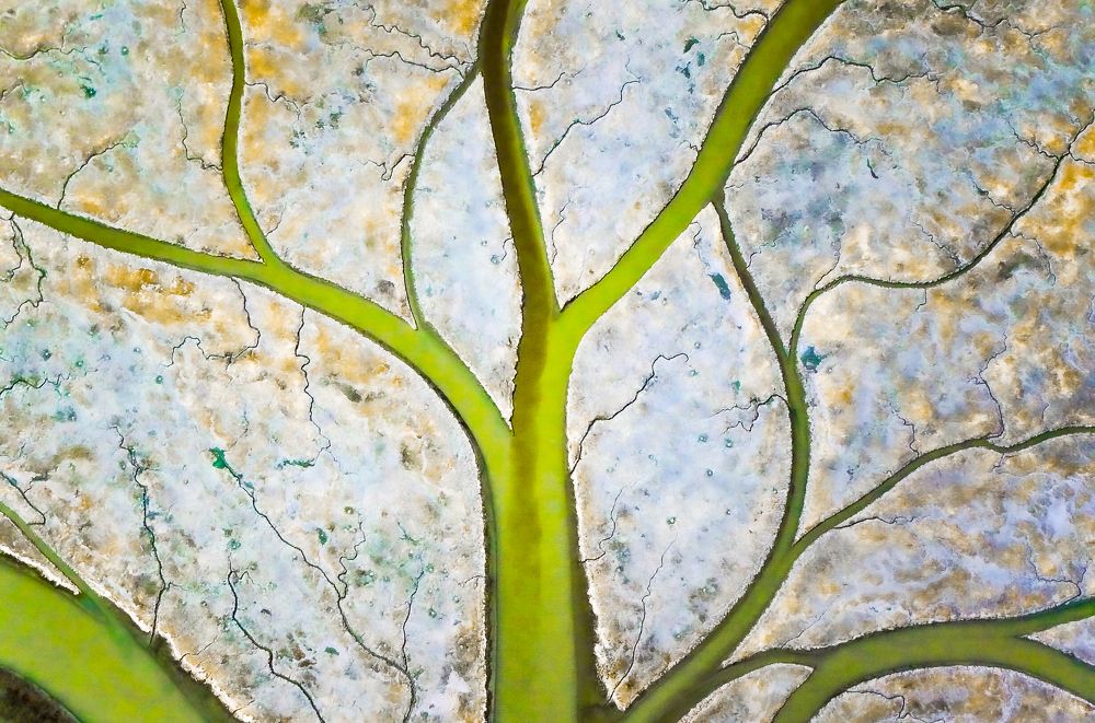 Photograph by Eric Gosse