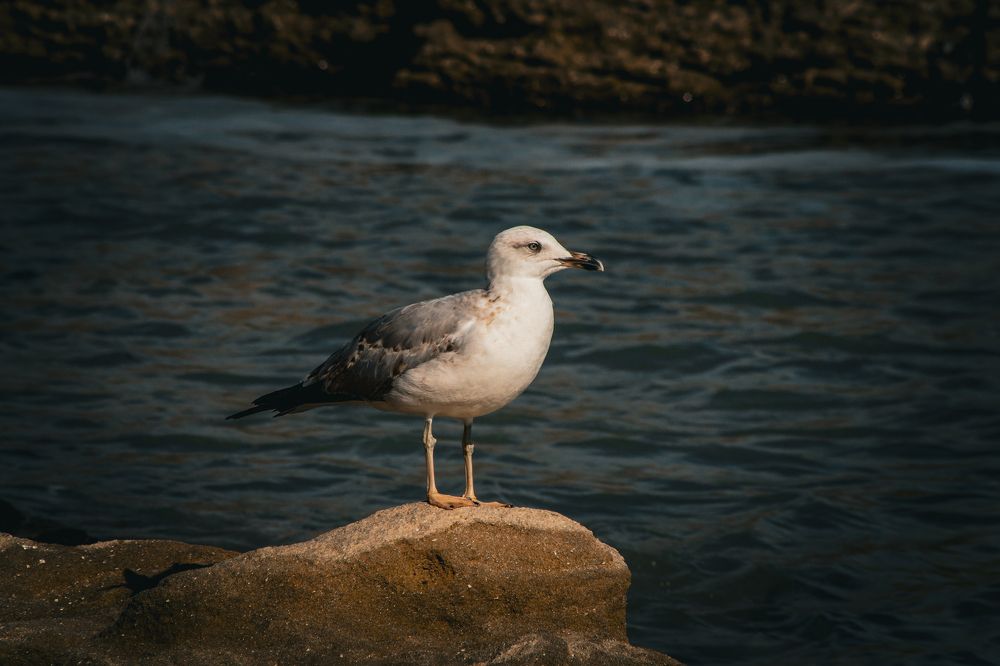 Фотография автора frankie frankie