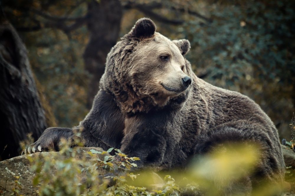 Photograph by Елена Кириллова