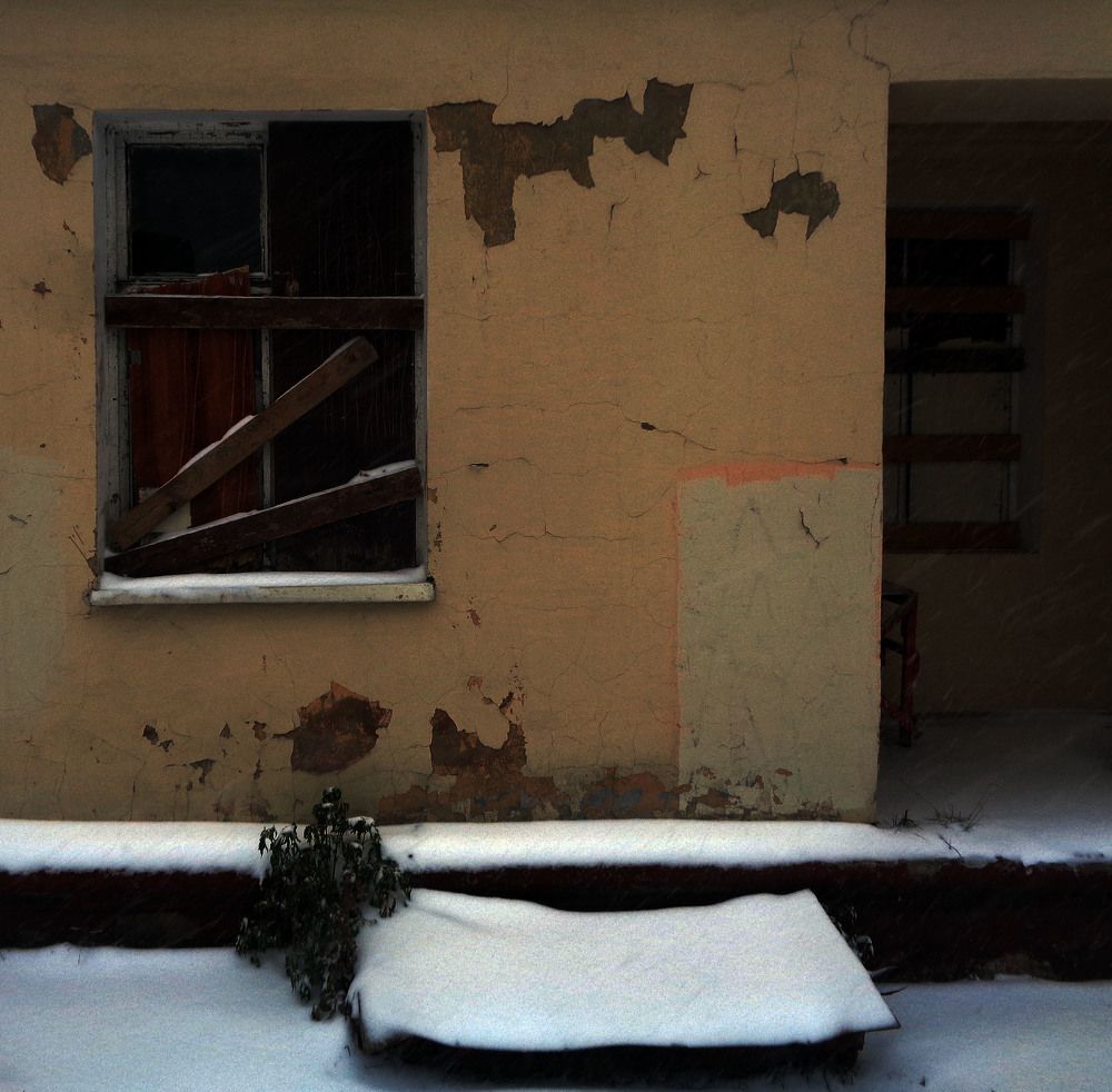 Photo #9890420
