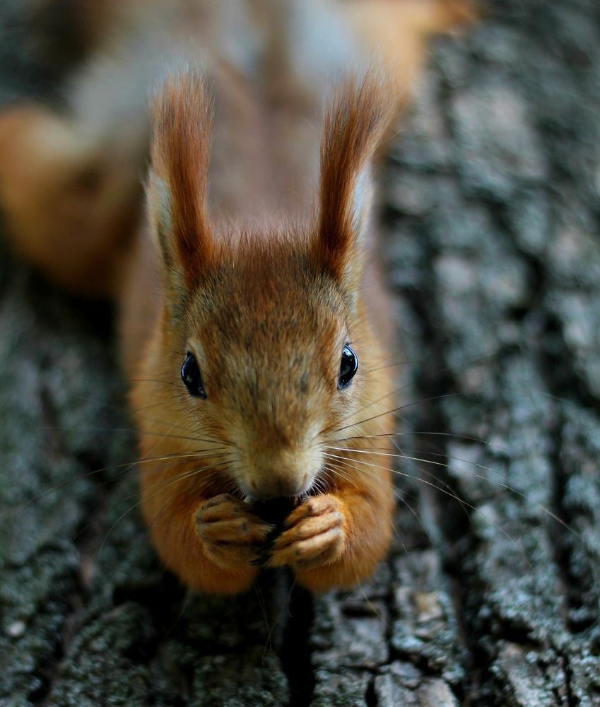 Photograph by Galina Tsmyg