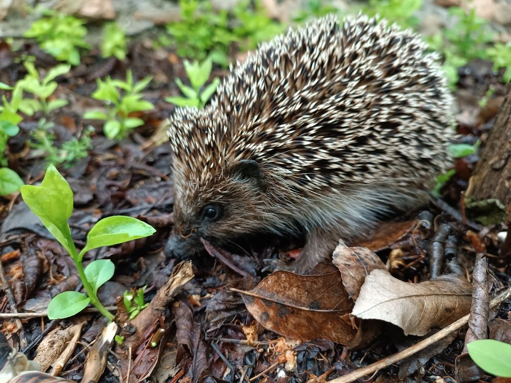 Photograph by Galina Tsmyg