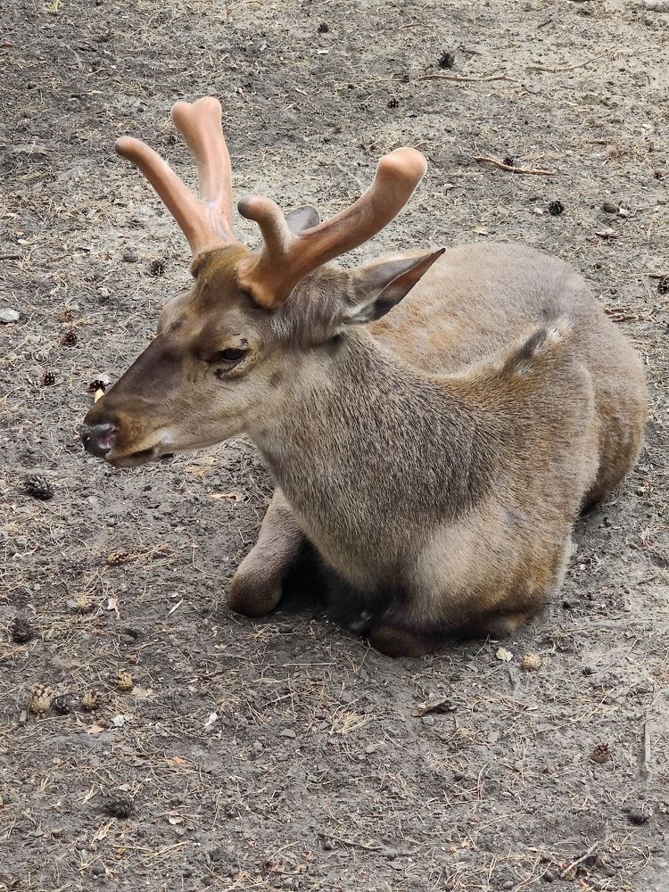 Photograph by Татьяна Гулакова