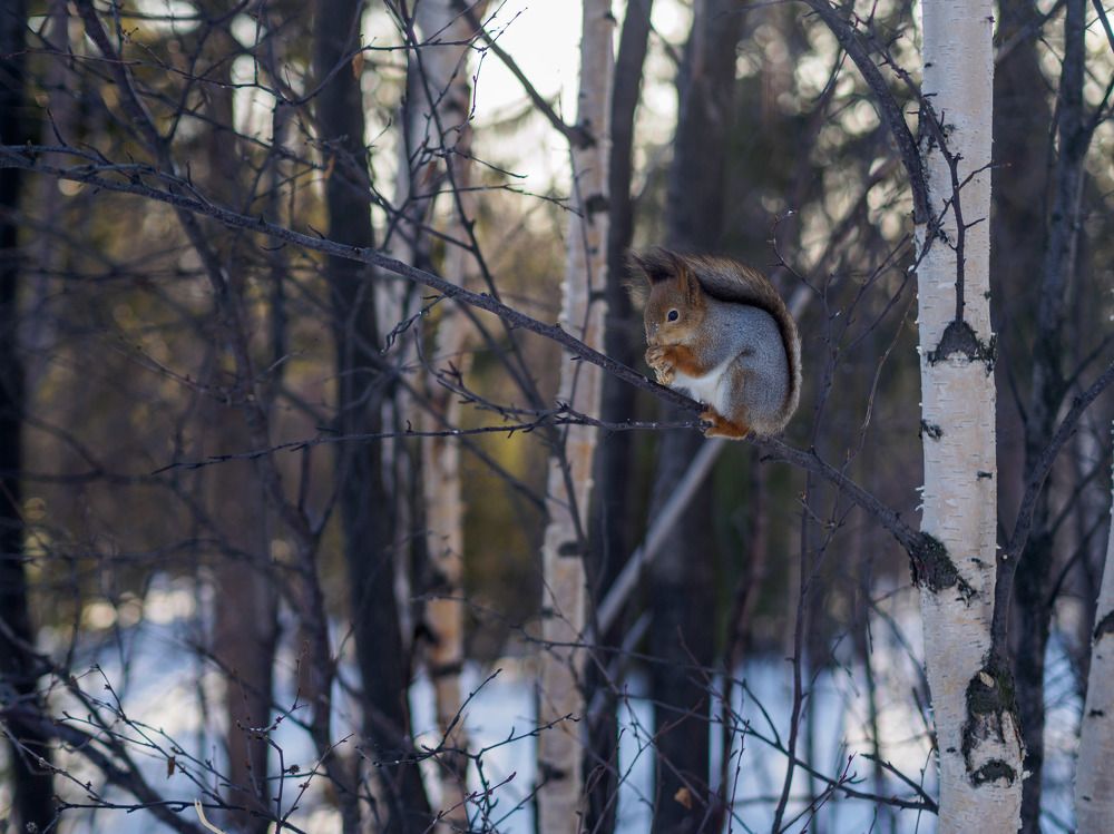 Photograph by Шейко Анна