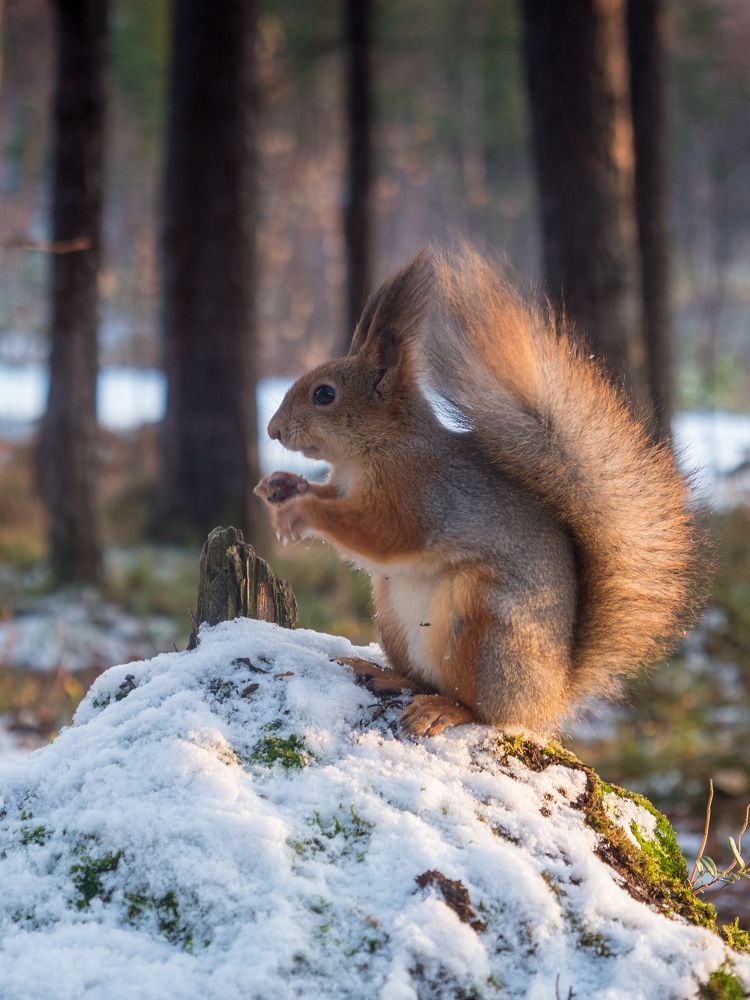Photograph by Шейко Анна
