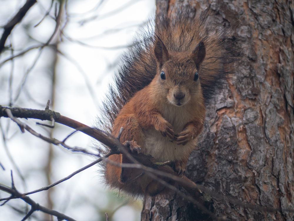 Photograph by Шейко Анна