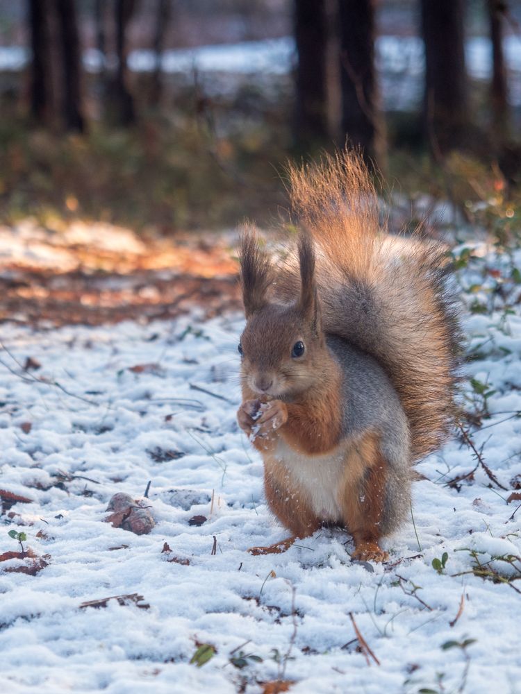 Photograph by Шейко Анна