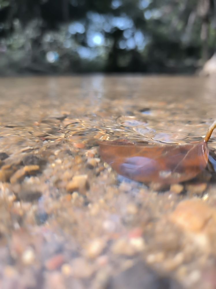 Фотография автора Mudu.Ganesh