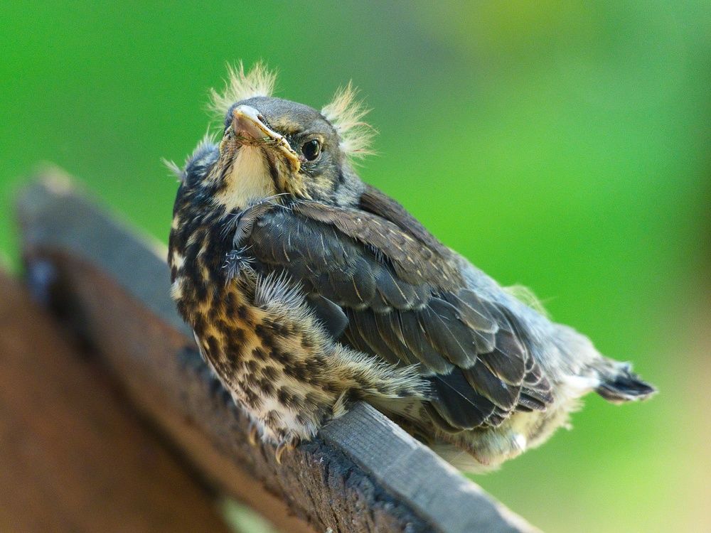 Photograph by Алексей Поляков