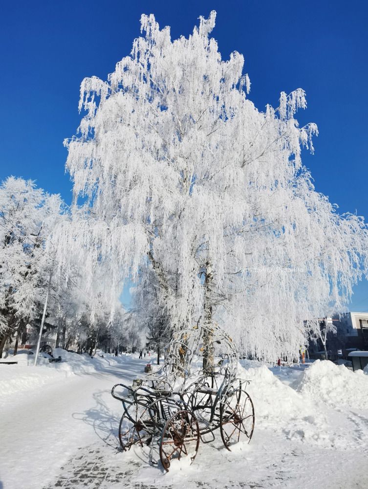 Photograph by Рузанна Муртазина