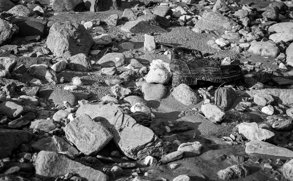 Photograph by Karolina Navodnik