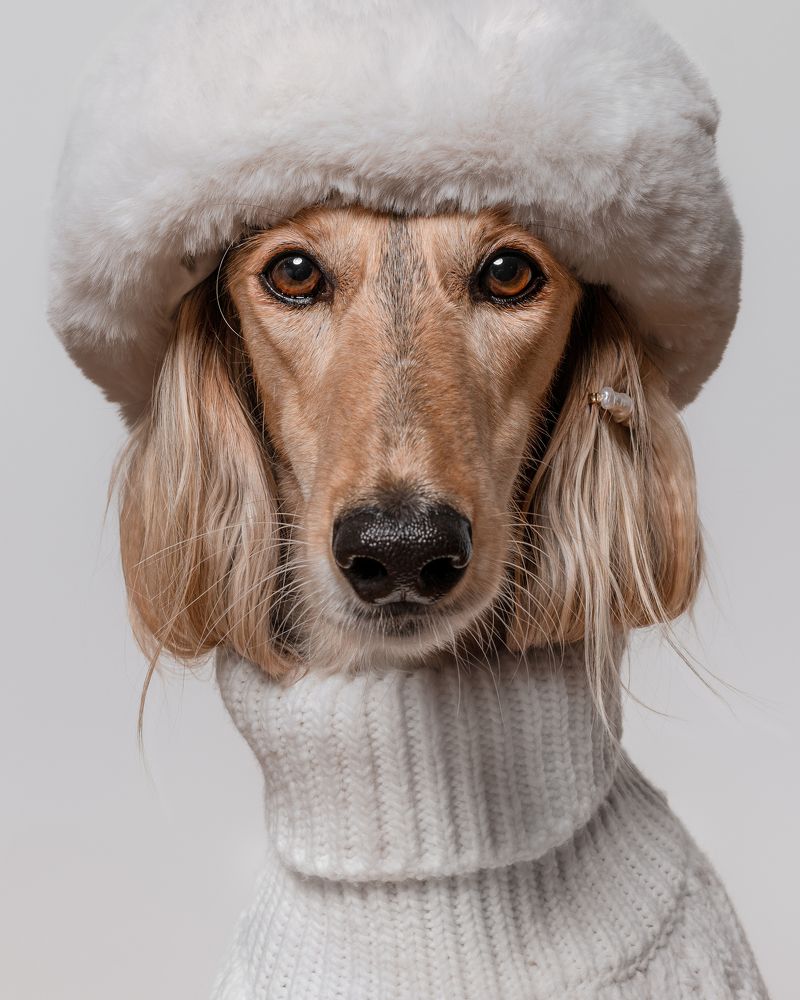 Photograph by Beate Magedin