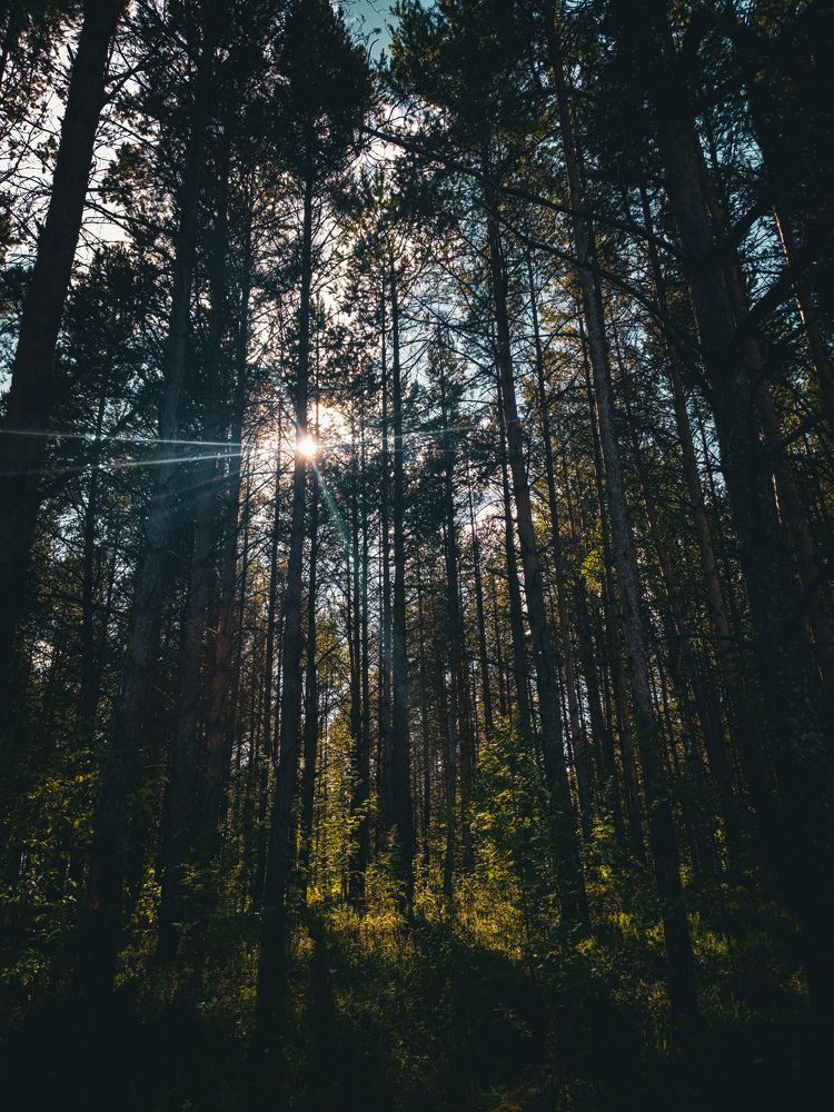 Photograph by Максим Анатольевич