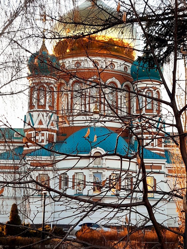 Фотография автора Наталья Шендяпина