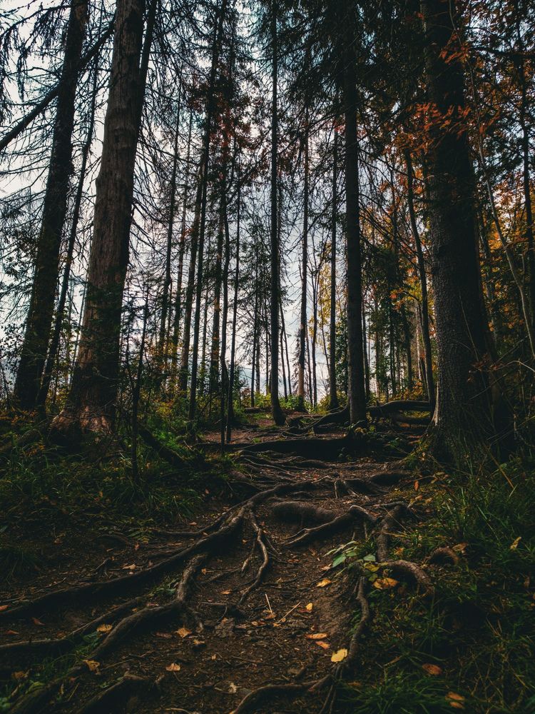 Photograph by Максим Анатольевич