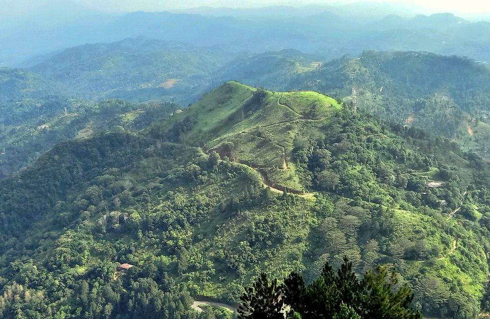 В горах Шри Ланка