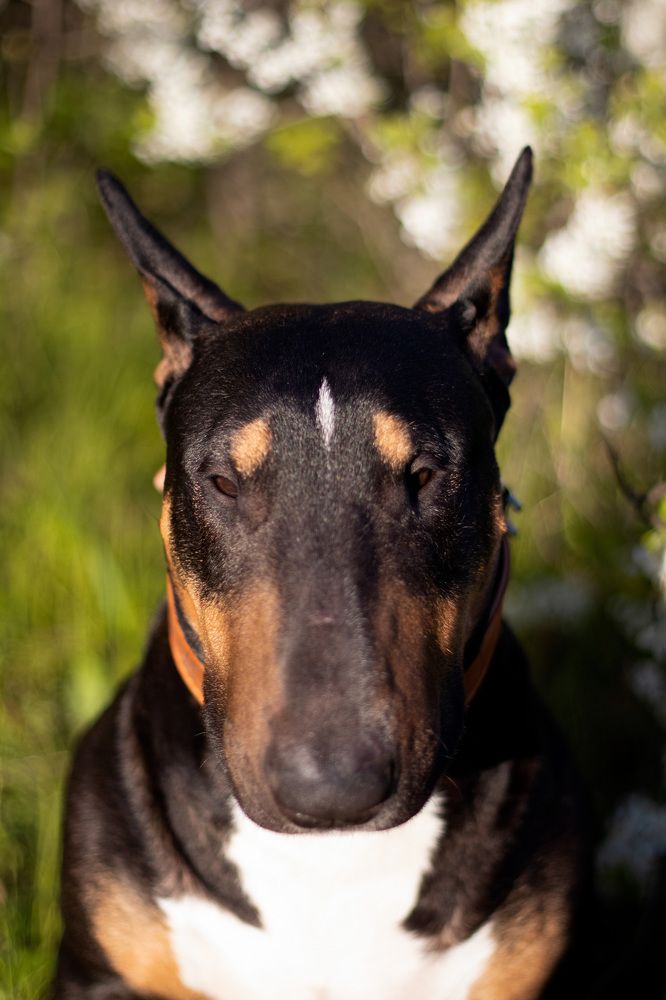 Photograph by Макарова Татьяна