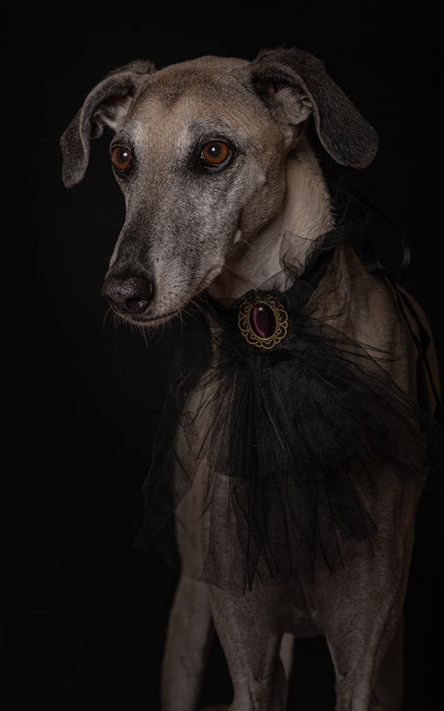 Photograph by Beate Magedin