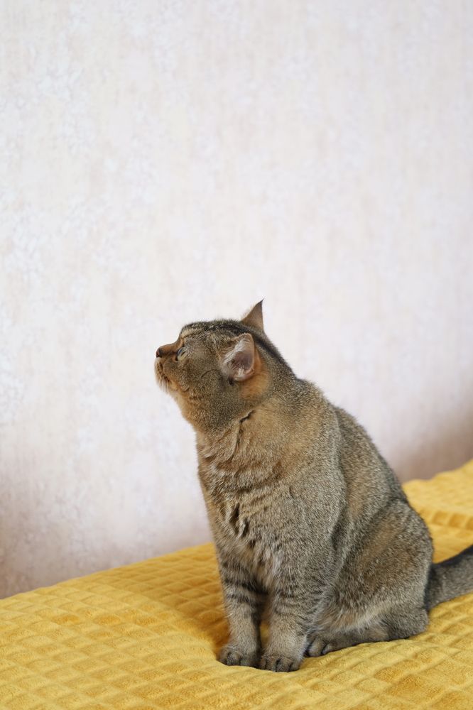 Photograph by Макарова Татьяна