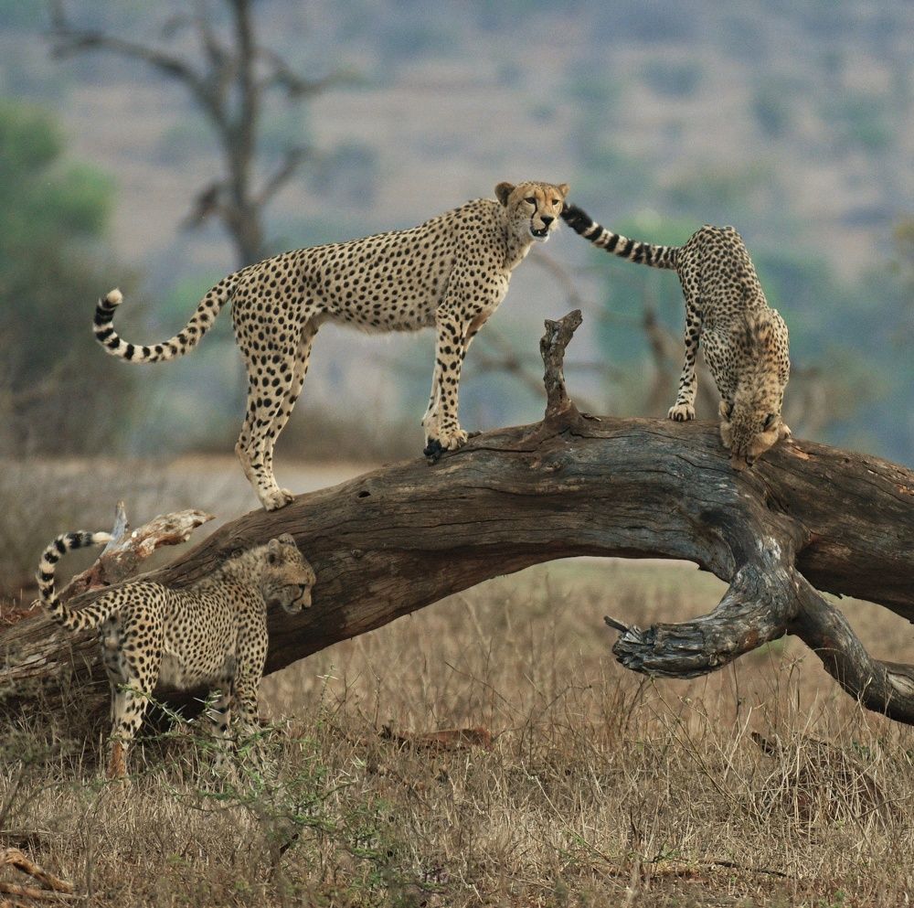 Photograph by Michelle Storm