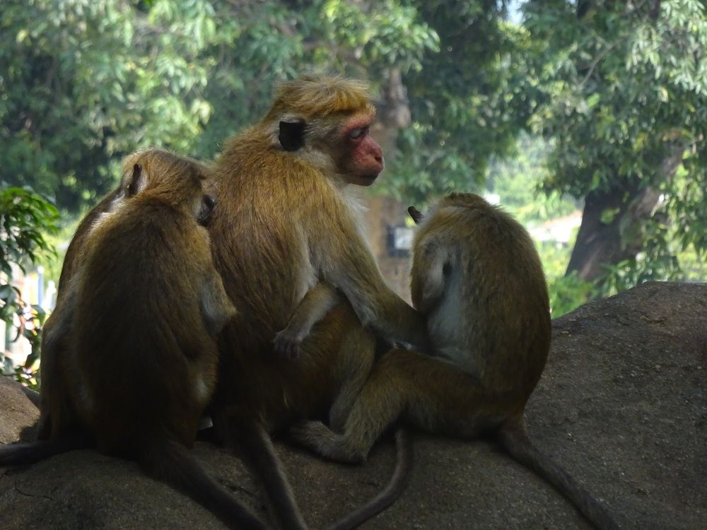 Photograph by Игнатова Марина