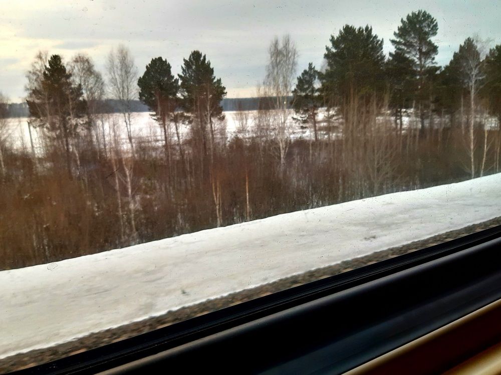 Фотография автора Наталья Шендяпина