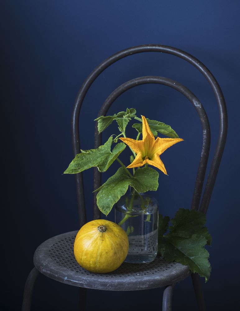 Фотография автора Uljana Kuchar