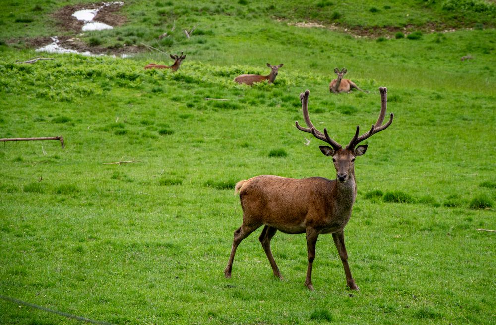 Photograph by Karolina Navodnik