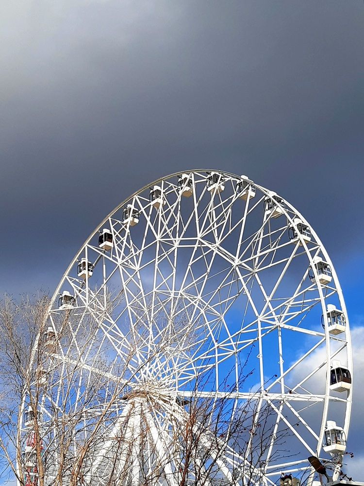 Фотография автора Наталья Шендяпина